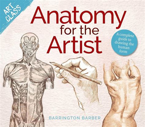 Buy Anatomy for the Artist: A Complete Guide to Drawing the Human Form ...