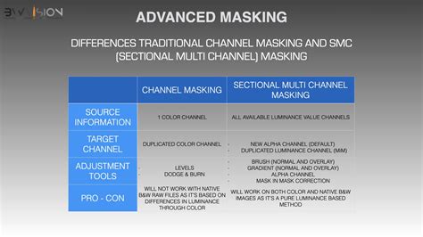 Masking Techniques and AI - BWVision