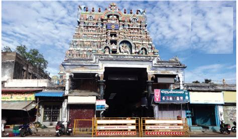 உரைநடை: திக்கெல்லாம் புகழுறும் திருநெல்வேலி - பருவம் 3 இயல் 1 | 7 ஆம் ...