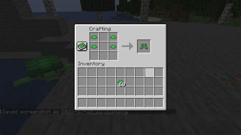 Image result for MinecraftTurtle Armor