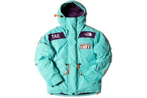 The North Face TAE Trans-Antarctica Expedition 700-Down Parka Jacket ...