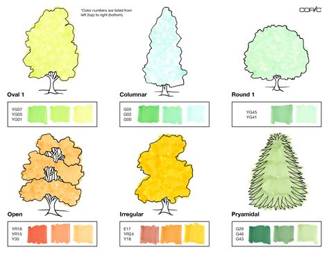 Tree Drawing with Color 的图像结果