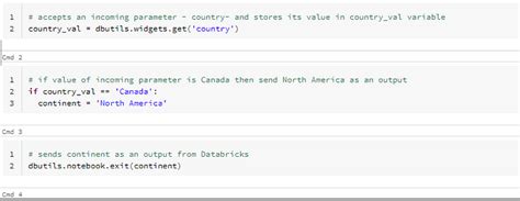 Parameters in Databricks 的图像结果