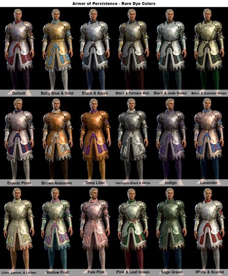 Armour of Persistence - bg3.wiki