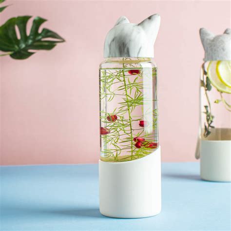 Fox ear Bottle Online - Premium Water Bottle | Nestasia