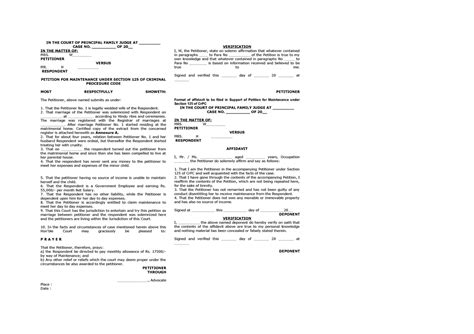 Draft - IN THE COURT OF PRINCIPAL FAMILY JUDGE AT _________ CASE NO ...