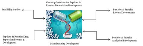 Image result for Formulation Development pDNA