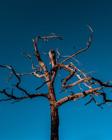 Pure Inspiration: 20 stunning photos of Namibia | Condé Nast Traveller ...