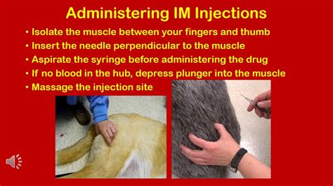 Image result for Injection Sites