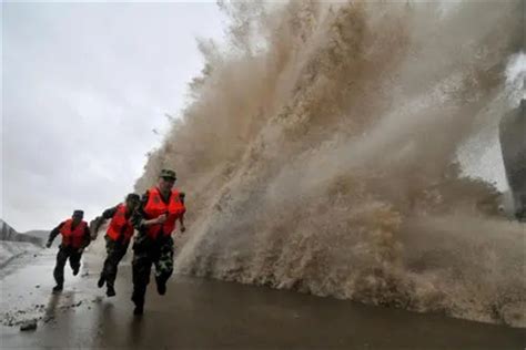 台风是哪个地区最严重的自然灾害之一：我国南部沿海地区_探秘志