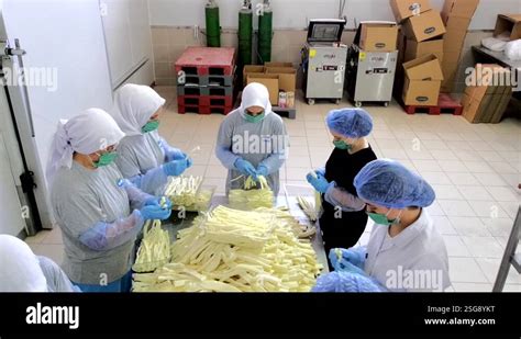 Process of Making Cheese 的图像结果