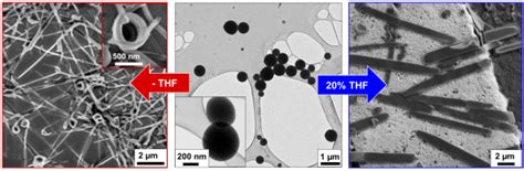 Image result for Microscopy Crystallization