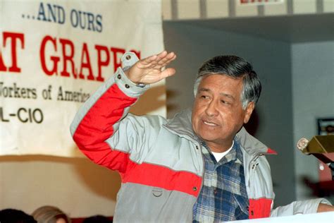 10 Cesar Chavez Quotes In Spanish