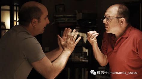 电影《麻烦家族》首映 海清：和黄磊拍戏最轻松|黄磊|海清|电影_新浪新闻