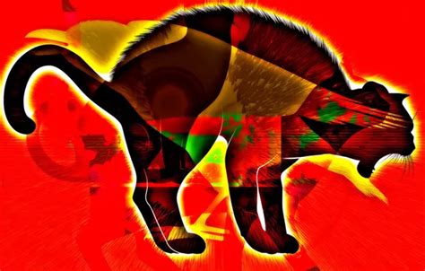 Download wallpaper cat, color, background, silhouette, section ...