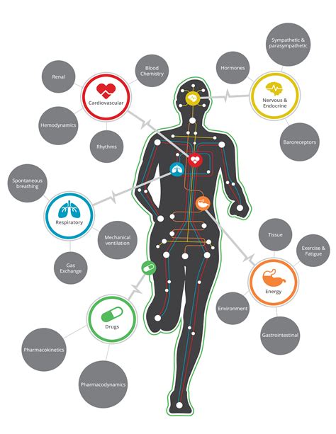 Physiology Wallpapers - Top Free Physiology Backgrounds - WallpaperAccess