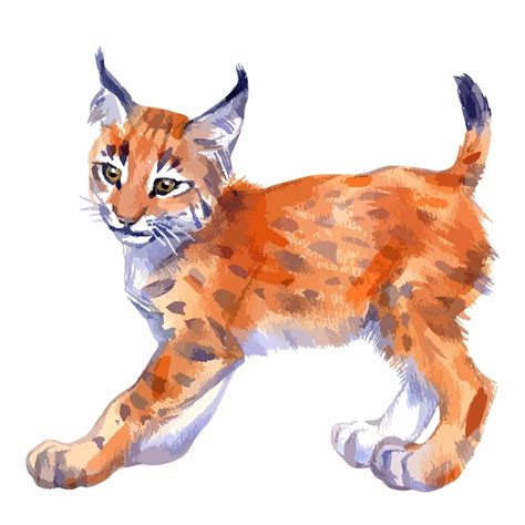 Watercolor lynx Images - Free Download on Freepik