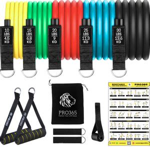 PRO365 Premium Resistance Bands with Door Anchor/ Foam Handles/ Bag and ...