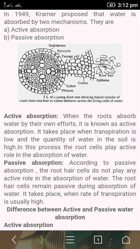 Difference between active absorption and passive absorption - Brainly.in