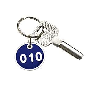 CM Numbered Tags Metal Key Ring for Organizing and Sorting, Blue Color ...