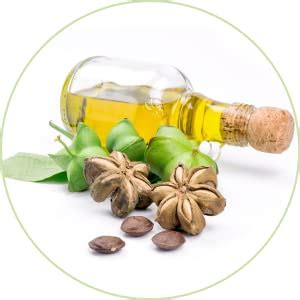 Amazon Series Jojoba Moisturizing Keratin Shampoo - 250ml | Sulphate ...