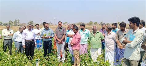 TNAU Agritech Portal :: TNAU Press Notes