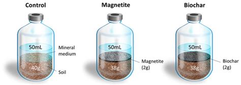 Enhancing the Anaerobic Biodegradation of Petroleum Hydrocarbons in ...