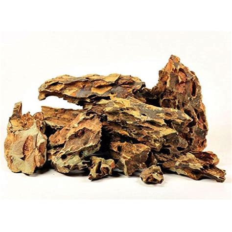 DRAGOAN ROCKS – Fishykart.in