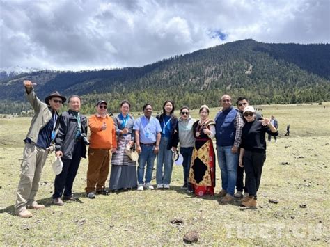 多国驻华使节及外籍专家学者参观访问西藏林芝_西藏头条网