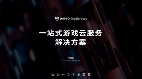 Unity Platform 的图像结果