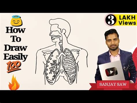 Respiratory System step by step for Beginners! Video Lecture - Class 10