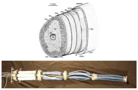 The Challenges of Inferring Organic Function from Structure and Its ...