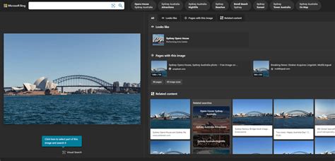 Image result for Bing Advanced Search Box