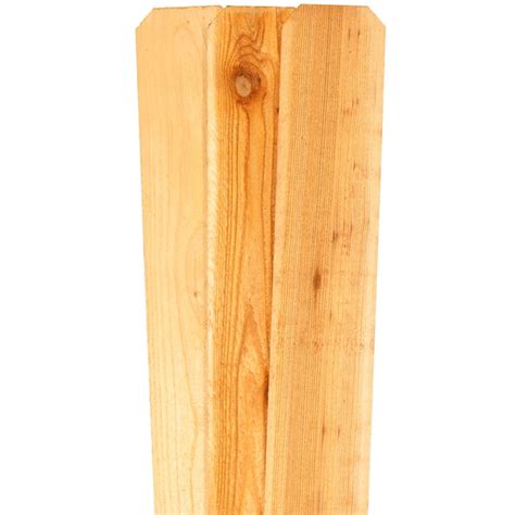 5/8-in x 4-in x 6-ft Western red cedar Dog ear Fence Picket in the Wood ...
