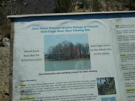 John Heinz National Wildlife Refuge at Tinicum (Philadelphia) - 2021 ...