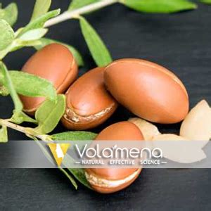 Buy Volamena Argan Oil Shampoo with Morrocan Argan For Hair To ...