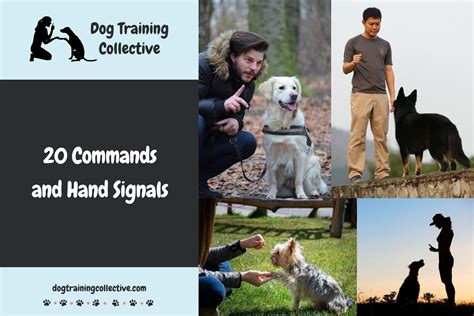 Image result for Hand Commands for Dogs