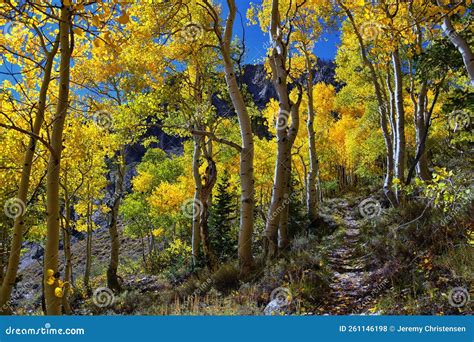 Deseret Peak Hiking Trail Stansbury Mountains, by Oquirrh Mountains ...