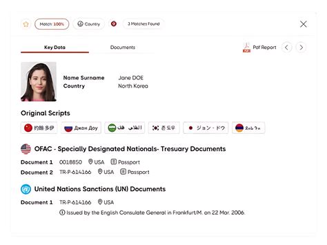 Image result for How to Use Sanction Software