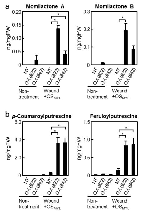 BSR1, a Rice Receptor-like Cytoplasmic Kinase, Positively Regulates ...