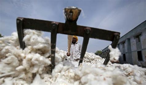 Pakistan to import sugar, cotton from India: Finance Minister Hammad ...