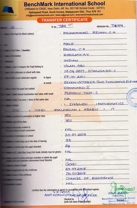 TC - BenchMark International School