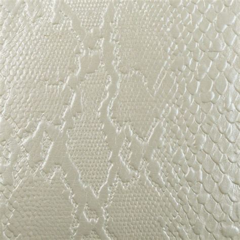 Conditioning Python Leather 的图像结果