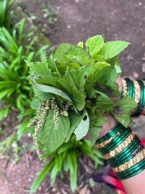 CNT Culture Calendar: What to do across India this August | Condé Nast ...