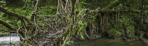 Mawsynram Tours and Packages: Best Time To Visit | Indianpanorma