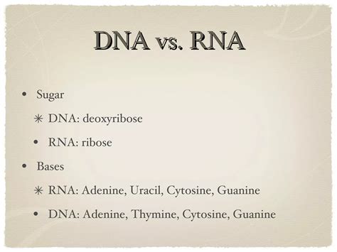 Image result for DNA Vs RNA Codons