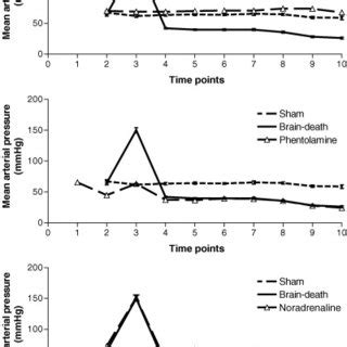 Image result for Map Algorithm Blood Pressure