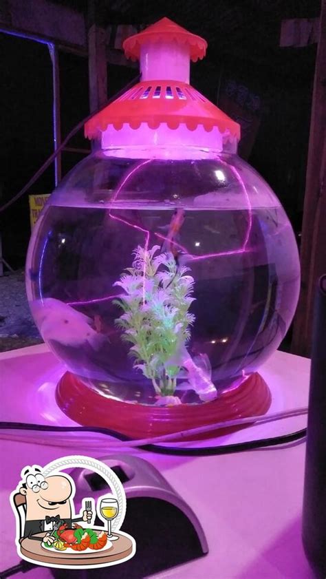 My cafe house - Restaurant menu, prices and reviews