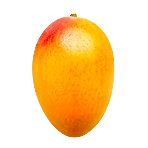 Single fruit Images - Free Download on Freepik