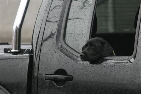 Iz Kine stigli u Beograd prvi delovi novog mosta preko Save - BetaRS